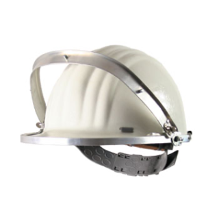 UNIVERSAL RAISABLE VISOR CARRIER